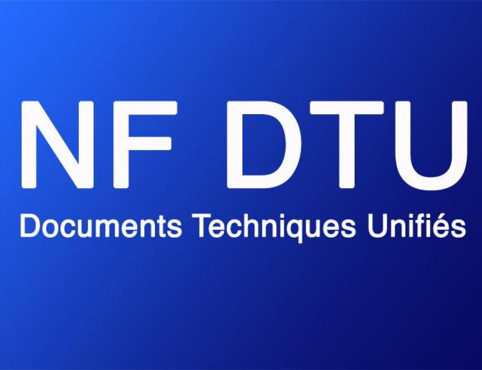 NF DTU logo